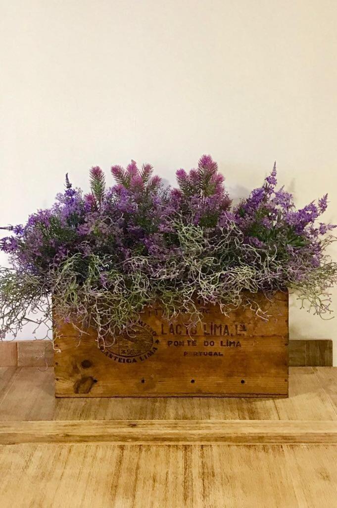 Villaer Wisteria *
